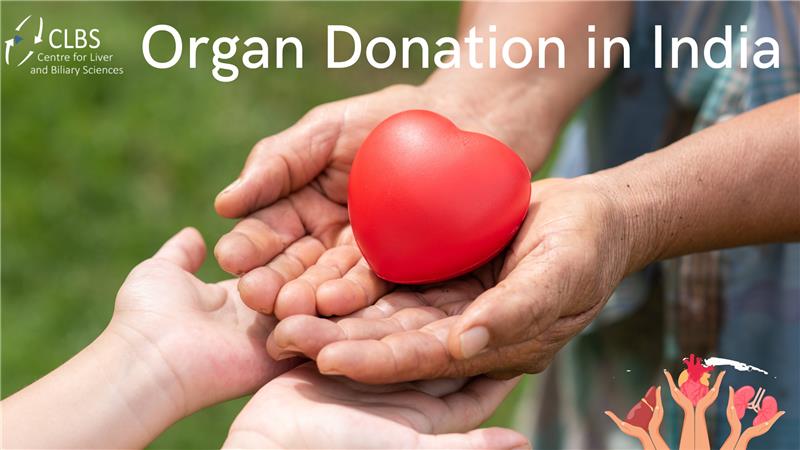 Organ Donation in India: Legal, Cultural & Religious Perspectives